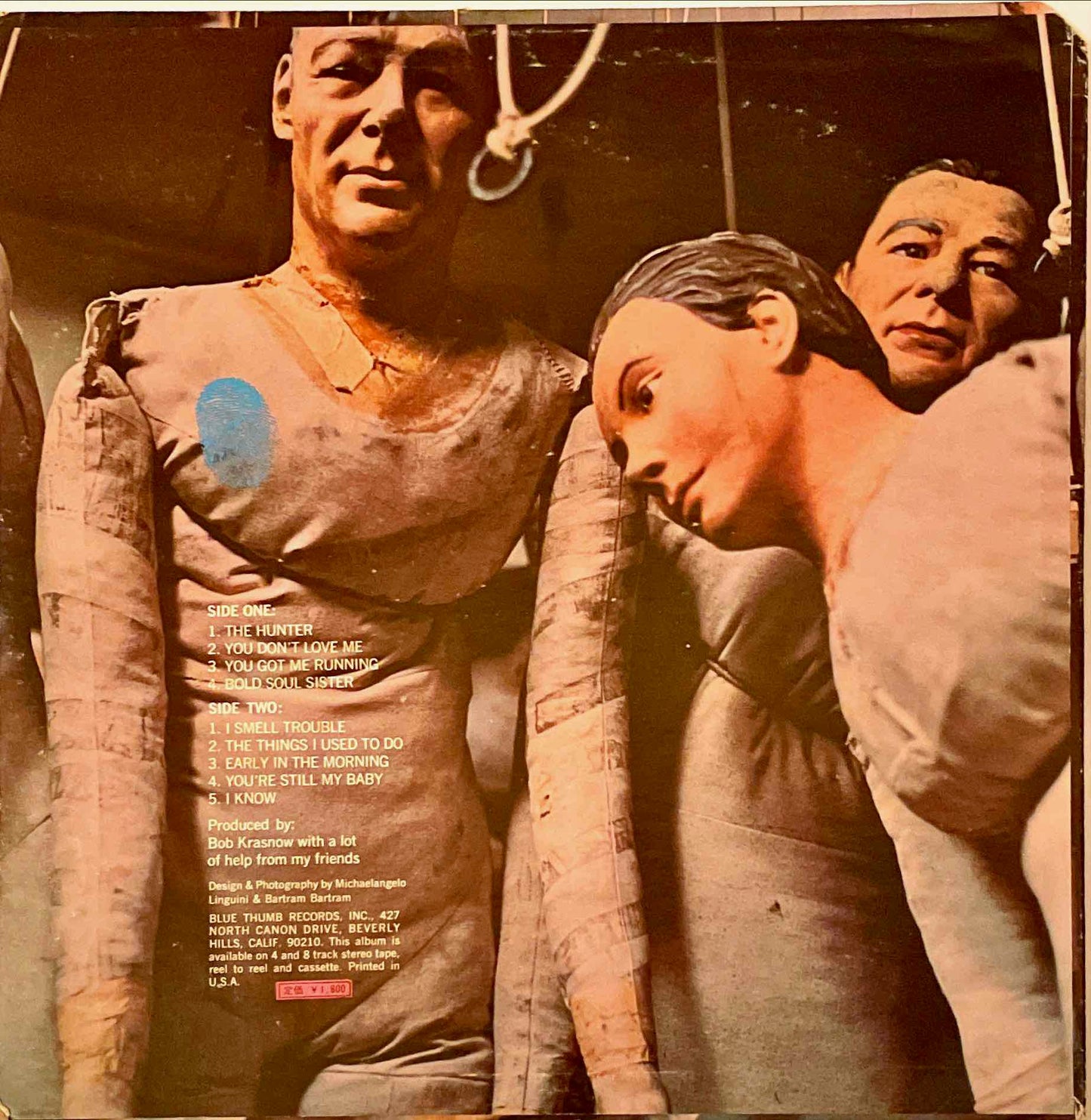 Ike & Tina Turner – The Hunter LP sleeve image back