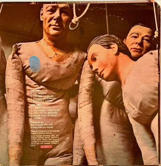 Ike & Tina Turner – The Hunter LP sleeve image back