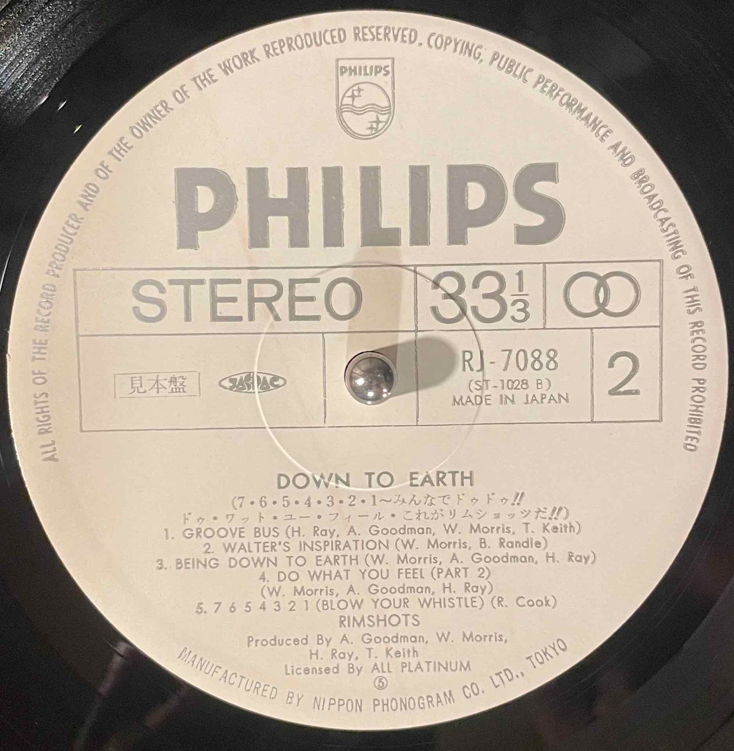 The Rimshots – Down To Earth