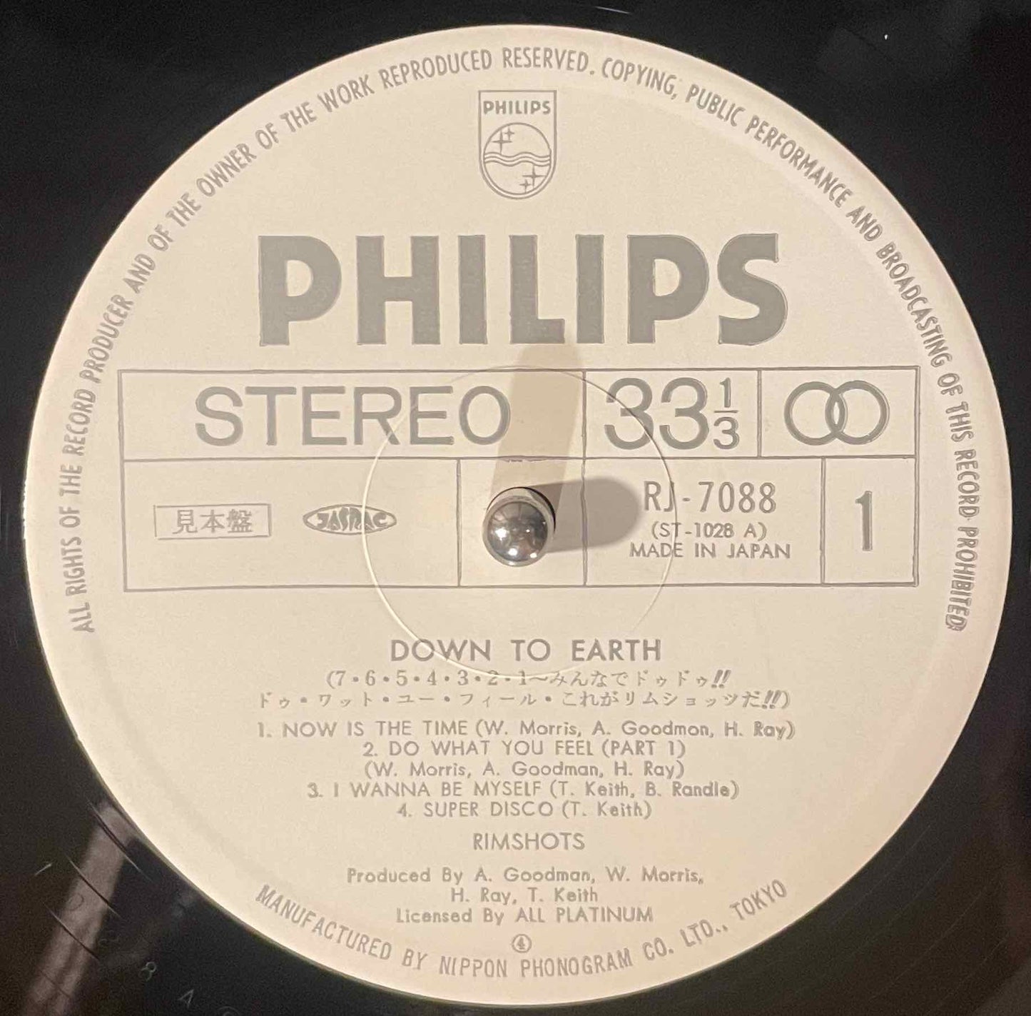 The Rimshots – Down To Earth