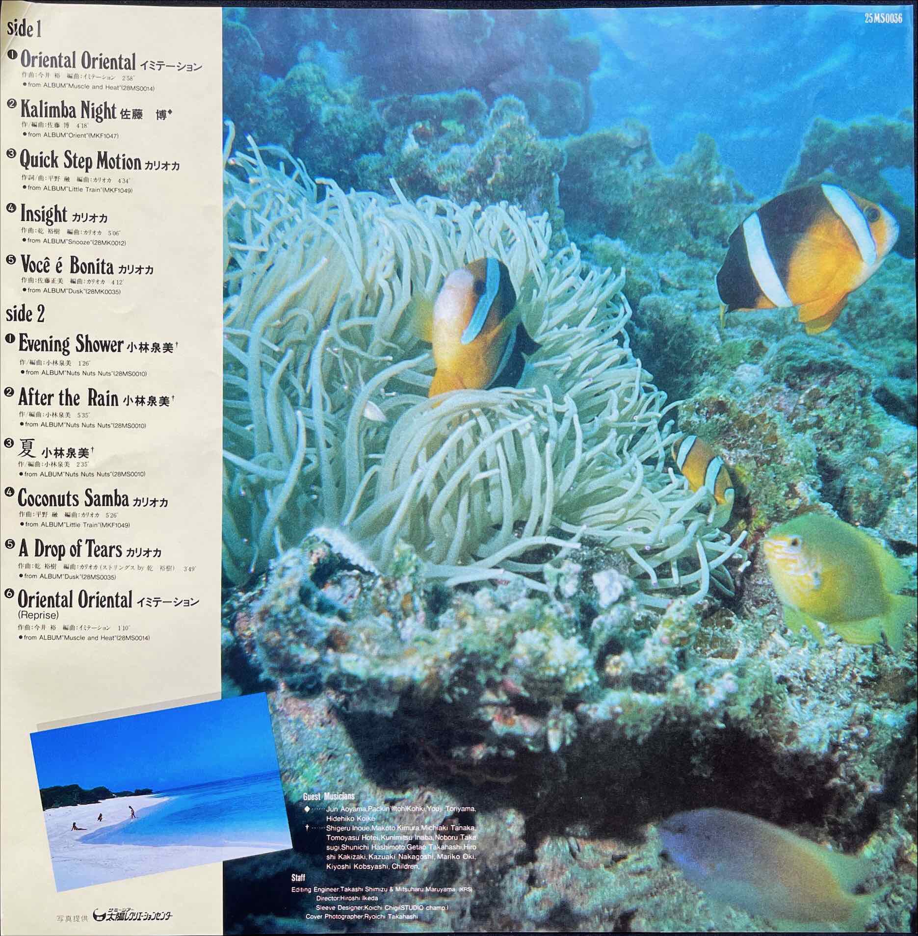 Various – Horizon Dream Vol. 3 LP insert image front