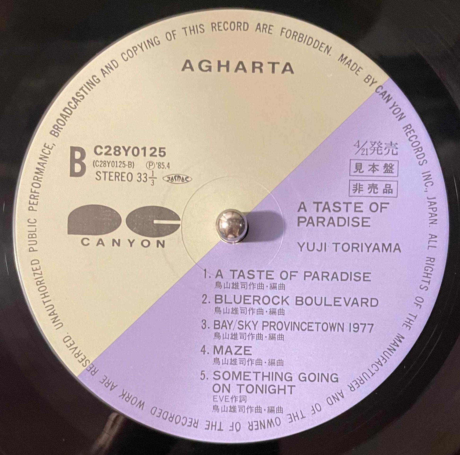 Yuji Toriyama – A Taste Of Paradise LP Label image back