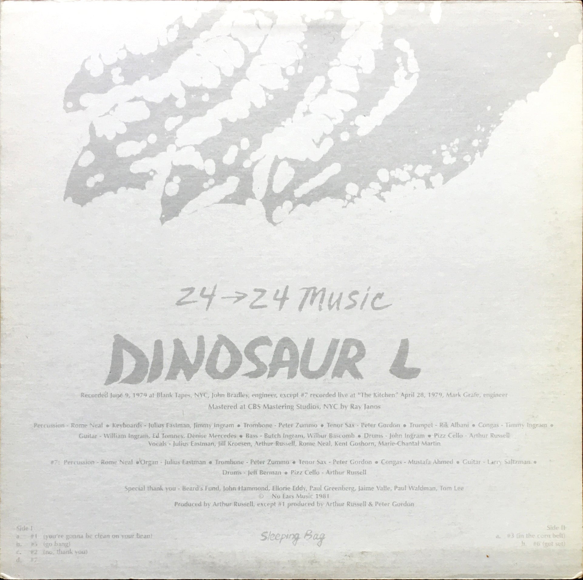 Dinosaur L – 24→24 Music LP sleeve image back