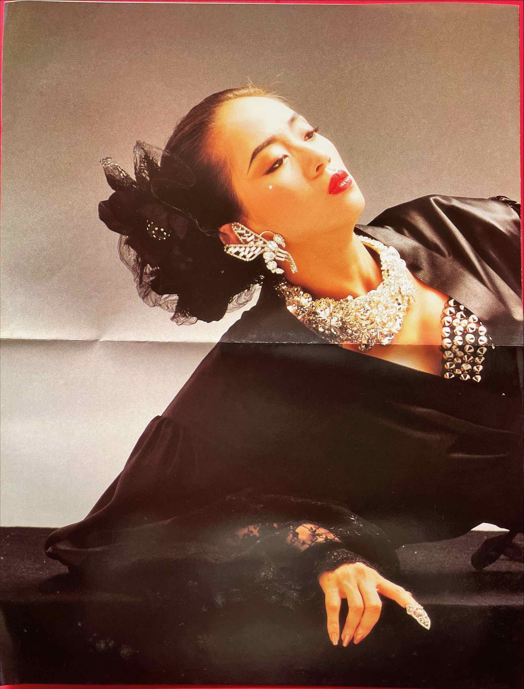 梅艷芳 ＝ Anita Mui =アニタ・ムイ – 梅艷芳 LP 中古レコード、竹内まりや「PLASTIC LOVE」cover , – monads  records