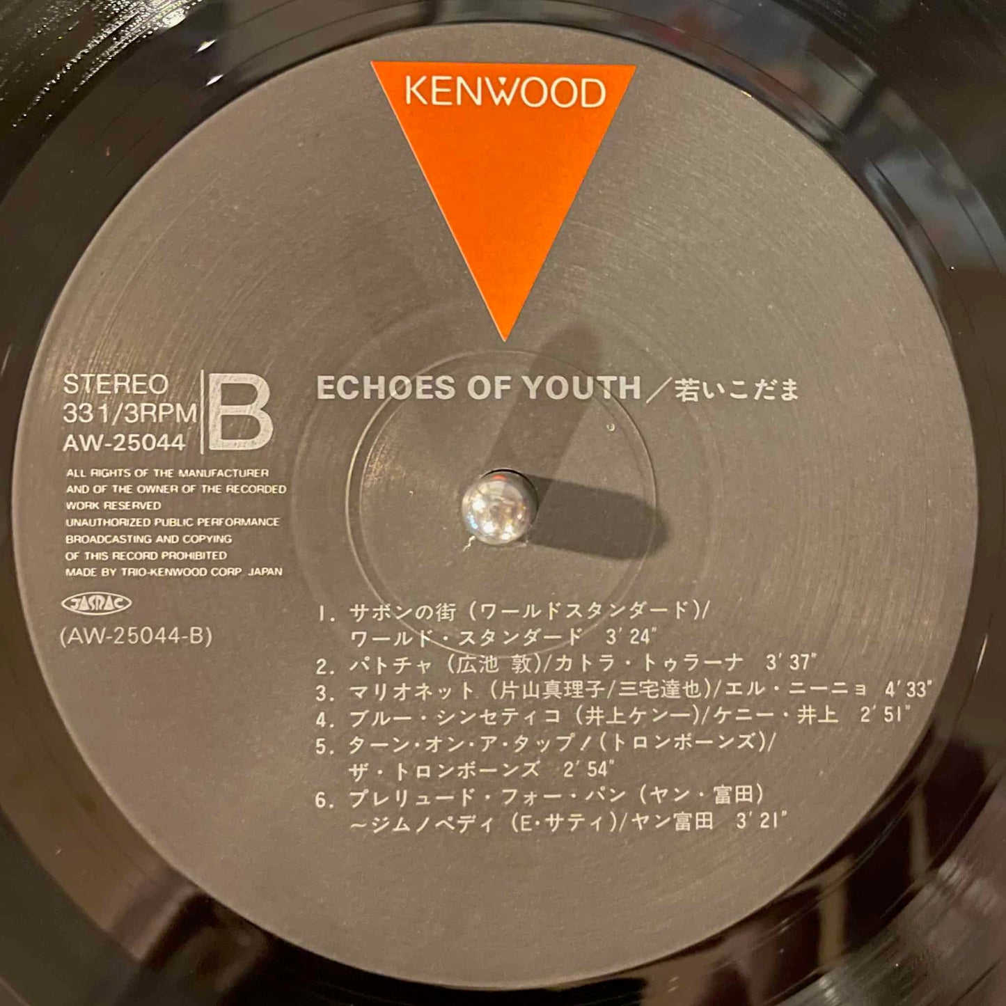 Various – Echoes Of Youth LP lable image back